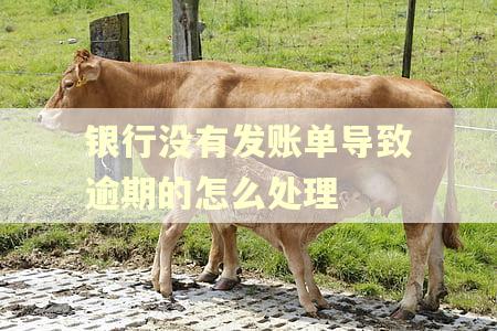 银行没有发账单导致逾期的怎么处理