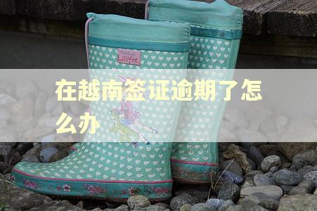 在越南签证逾期了怎么办