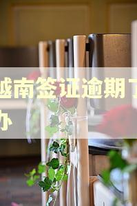 在越南签证逾期了怎么办