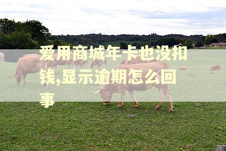 爱用商城年卡也没扣钱,显示逾期怎么回事
