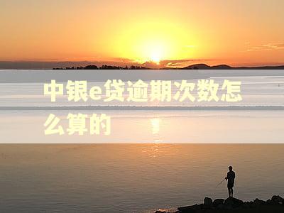 中银e贷逾期次数怎么算的