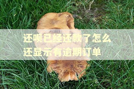 还呗已经还款了怎么还显示有逾期订单 还呗已经还款了怎么还显示有逾期订单