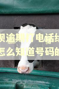 花呗逾期打电话给朋友怎么知道号码的