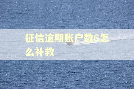 征信逾期账户数6怎么补救