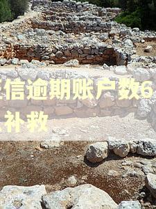 征信逾期账户数6怎么补救