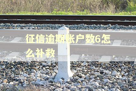 征信逾期账户数6怎么补救