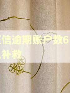 征信逾期账户数6怎么补救