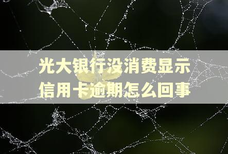 光大银行没消费显示信用卡逾期怎么回事