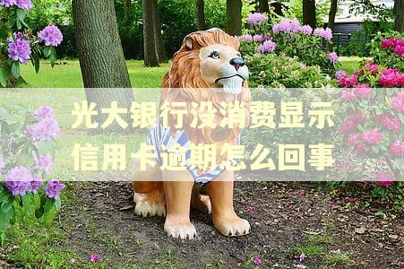 光大银行没消费显示信用卡逾期怎么回事 光大银行没消费显示信用卡逾期怎么回事