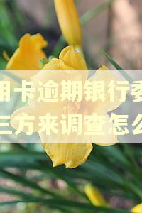 信用卡逾期银行委托第三方来调查怎么办