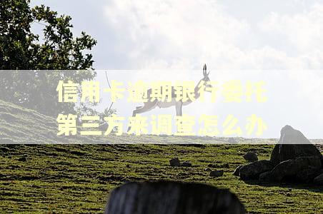 信用卡逾期银行委托第三方来调查怎么办