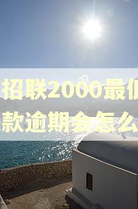 欠招联2000最低还款逾期会怎么样