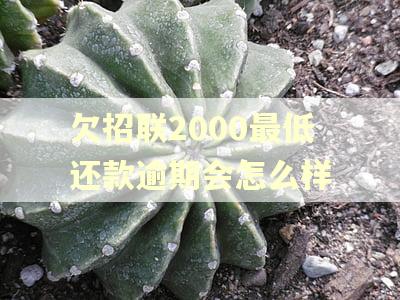 欠招联2000最低还款逾期会怎么样