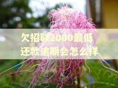 欠招联2000最低还款逾期会怎么样