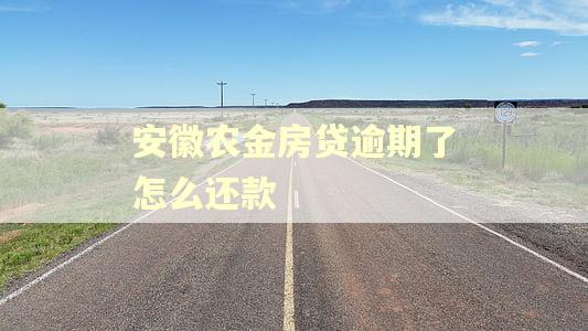 安徽农金房贷逾期了怎么还款