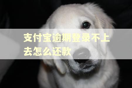 支付宝逾期登录不上去怎么还款
