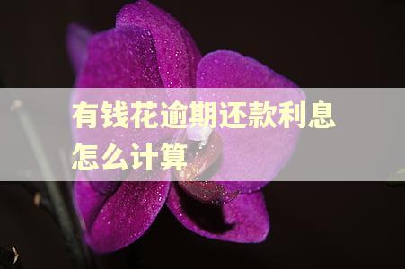 有钱花逾期还款利息怎么计算