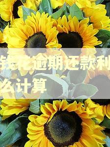 有钱花逾期还款利息怎么计算