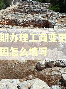 逾期办理工商变更的原因怎么填写