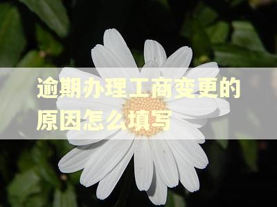 逾期办理工商变更的原因怎么填写