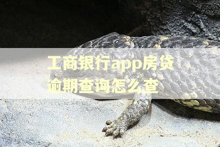 工商银行app房贷逾期查询怎么查