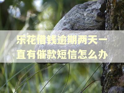 乐花借钱逾期两天一直有催款短信怎么办