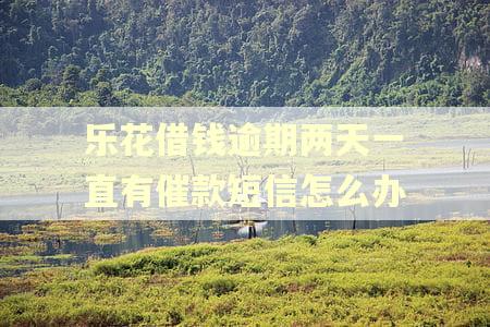 乐花借钱逾期两天一直有催款短信怎么办 乐花借钱逾期两天一直有催款短信怎么办