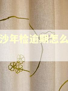 长沙年检逾期怎么处理