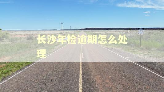 长沙年检逾期怎么处理