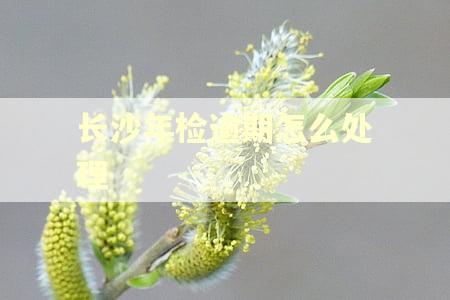 长沙年检逾期怎么处理 长沙年检逾期怎么处理