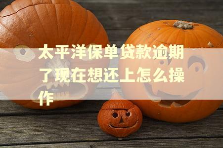 太平洋保单贷款逾期了现在想还上怎么操作
