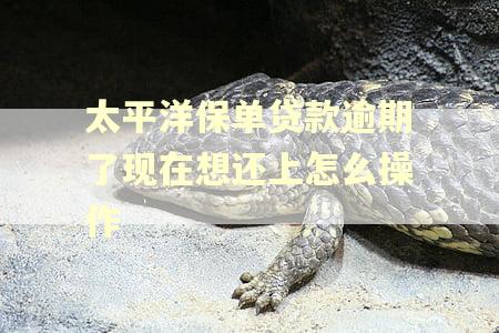太平洋保单贷款逾期了现在想还上怎么操作