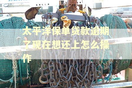 太平洋保单贷款逾期了现在想还上怎么操作