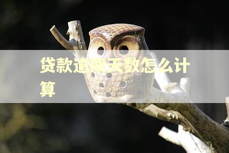 贷款逾期天数怎么计算