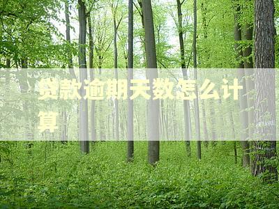 贷款逾期天数怎么计算