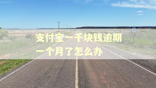 支付宝一千块钱逾期一个月了怎么办