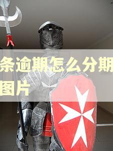 白条逾期怎么分期还款图片