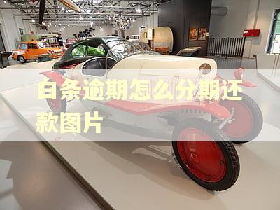 白条逾期怎么分期还款图片