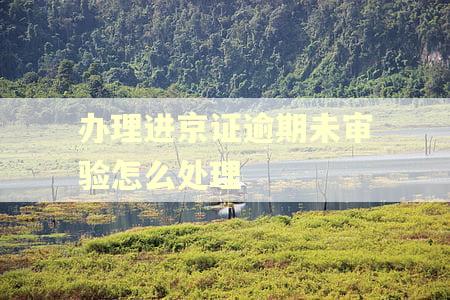 办理进京证逾期未审验怎么处理