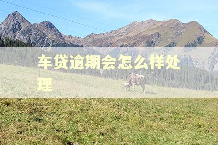 车贷逾期会怎么样处理