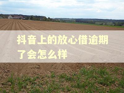 抖音上的放心借逾期了会怎么样