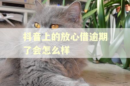 抖音上的放心借逾期了会怎么样