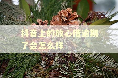 抖音上的放心借逾期了会怎么样 抖音上的放心借逾期了会怎么样