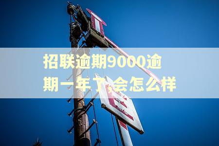 招联逾期9000逾期一年了,会怎么样