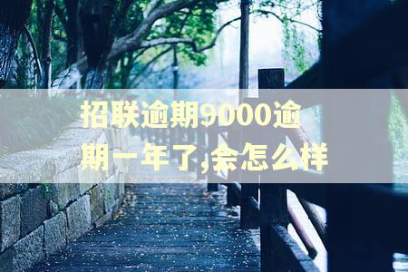 招联逾期9000逾期一年了,会怎么样