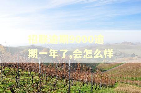 招联逾期9000逾期一年了,会怎么样 招联逾期9000逾期一年了,会怎么样