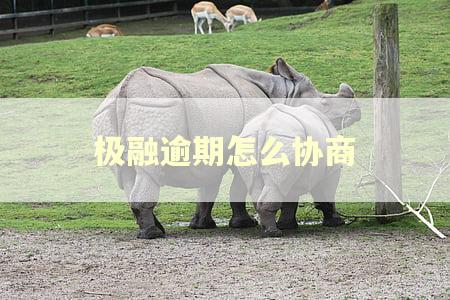 极融逾期怎么协商