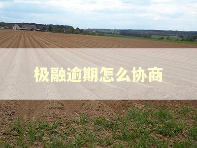 极融逾期怎么协商