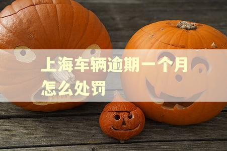 上海车辆逾期一个月怎么处罚