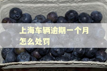 上海车辆逾期一个月怎么处罚